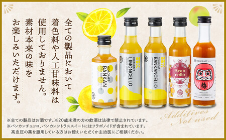 飛騨クラフト 人気リキュール 飲み比べ 5本セット | リキュール レモン 梅 オレンジ 河内晩柑 カクテル サワー アイス 酒 アルコール 有限会社森瓦店 MM030