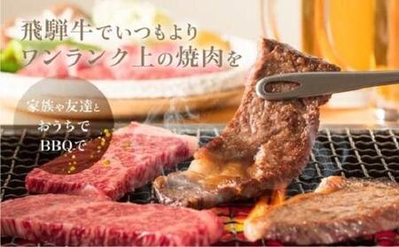 飛騨牛 定期便 全5回 約 2.2kg ( 300g 以上 × 5ヶ月 ) 牛肉 | 定期便 食べ比べ  ZZ015VC13