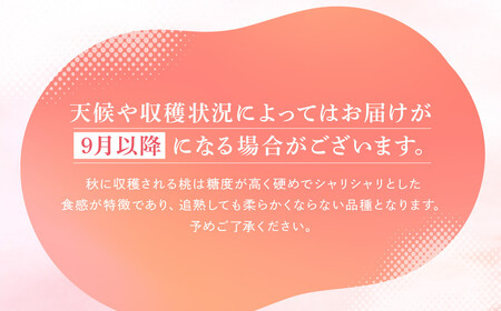 【2026年先行受付】飛騨のたからもも 特上 糖度15度以上（2玉）| 朝採り 桃 もも 極上の甘さ 濃厚 甘い 贈答 農家直送 飛騨の朝採り桃 飛騨高山 つむぎ果樹園 GH014