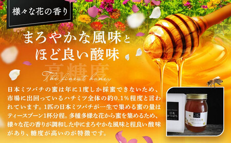 ひだの百花蜜 600g×1本 | 国産 非加熱 日本ミツバチ ハニー ハチミツ はちみつ 蜂蜜 飛騨高山 飛騨日本みつばちの会 PN004