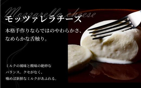 飛騨生乳100% モッツァレラ3個 & リコッタ2個セット | セット チーズ 冷蔵 濃厚 低温殺菌 乳製品 おいしい 人気 チーズ工房トリデンテ LF014