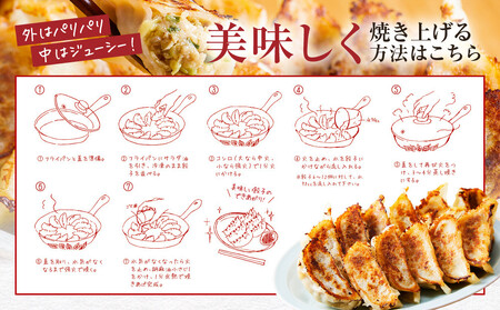 飛騨豚餃子12個入り×4セット（簡易包装） おいしい焼き方説明書付き NL005|高山市 餃子
