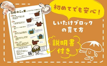 【2026年2月発送開始】 定期便 菌床椎茸栽培キット 3個×全4回（2月・5月・10月・1月に発送）| しいたけ シイタケ 椎茸 栽培キット きのこ 栽培 菌床 しいたけ菌 椎茸菌 栽培ブロック 採れたて とれたて 夏休み 自由研究 園芸 食育 飛騨高山きのこの里 GK102VC02
