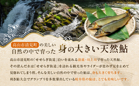 【個包装】秘伝のタレ使用！手掴み天然鮎甘露煮（10匹）| 化学調味料不使用 天然 魚 鮎 おいしい 食品 高山 有限会社井根鉄筋 SF002