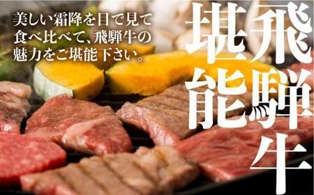 【11月発送】飛騨牛 焼肉 6種食べ比べ 100g×6|希少部位 5等級 FH017VC11牛肉 焼き肉 牛肉