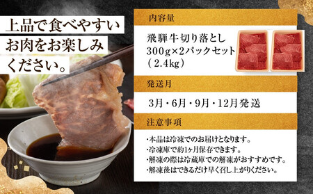 ちょっとリッチな飛騨牛（希少部位）約2.4kg【3月・6月・9月・12月発送】定期便 4回  | みすじ ウデ すき焼き しゃぶしゃぶ  希少部位 600g 和牛 国産牛 冷凍 飛騨高山 飛騨牛のこもり FC107