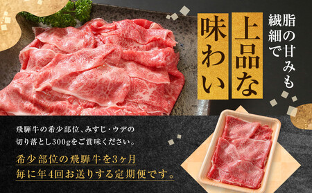 ちょっとリッチな飛騨牛（希少部位）約1.2kg 【3月・6月・9月・12月発送】定期便 4回 | みすじ ウデ すき焼き しゃぶしゃぶ  希少部位 300g 和牛 国産牛 冷凍 飛騨高山 飛騨牛のこもり FC110