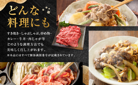 ちょっとリッチな飛騨牛（希少部位）約1.2kg 【3月・6月・9月・12月発送】定期便 4回 | みすじ ウデ すき焼き しゃぶしゃぶ  希少部位 300g 和牛 国産牛 冷凍 飛騨高山 飛騨牛のこもり FC110