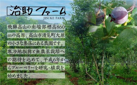 【定期便】治助ファームの北部ハイブッシュブルーベリー「冷凍果実」380g×3回 | ブルーベリー LJ100
