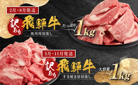 【訳あり】飛騨牛づくし定期便【2月・5月・8月・11月発送】 | 黒毛和牛 和牛 肉 牛肉 切落し 小分け 肉の匠家 BV106