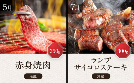 【定期便 全6回】飛騨牛 A5等級 赤身 約2kg｜ 牛肉 定期便 HF114