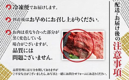 【定期便全3回】飛騨牛 訳あり 切り落とし 600g ｜牛肉 定期便 丸明 LR104