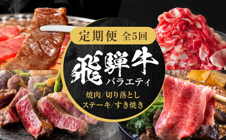 【定期便】全5回 飛騨牛 バラエティ(ステーキ /焼肉 / すき焼き/切り落とし) | 肉 お肉 黒毛和牛 和牛 個包装 小分け 牛肉 お取り寄せ 飛騨高山ミート MZ104