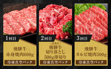 【定期便】全5回 飛騨牛 バラエティ(ステーキ /焼肉 / すき焼き/切り落とし) | 肉 お肉 黒毛和牛 和牛 個包装 小分け 牛肉 お取り寄せ 飛騨高山ミート MZ104