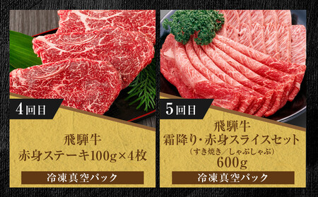 【定期便】全5回 飛騨牛 バラエティ(ステーキ /焼肉 / すき焼き/切り落とし) | 肉 お肉 黒毛和牛 和牛 個包装 小分け 牛肉 お取り寄せ 飛騨高山ミート MZ104
