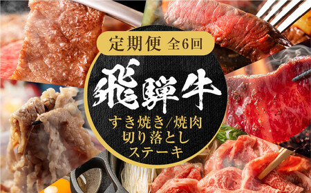 【定期便】全6回 飛騨牛 バラエティ(ステーキ /焼肉 / すき焼き/切り落とし) | 肉 お肉 黒毛和牛 和牛 個包装 小分け 牛肉 お取り寄せ 飛騨高山ミート MZ105