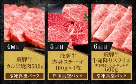 【定期便】全6回 飛騨牛 バラエティ(ステーキ /焼肉 / すき焼き/切り落とし) | 肉 お肉 黒毛和牛 和牛 個包装 小分け 牛肉 お取り寄せ 飛騨高山ミート MZ105