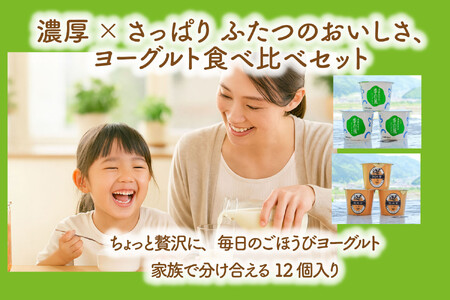 【定期12か月便】牧成舎のヨーグルトたっぷり12個セット（加糖2種×各６）DF219