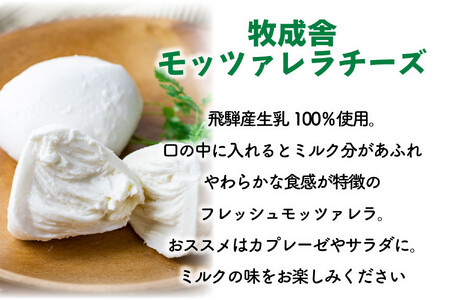 【10か月定期便】牧成舎のフレッシュモッツァレラチーズ2個 (有)牧成舎 DF222