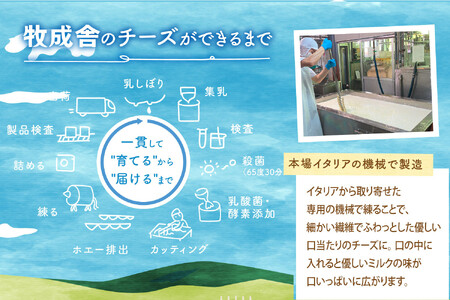 【10か月定期便】牧成舎のフレッシュモッツァレラチーズ2個 (有)牧成舎 DF222