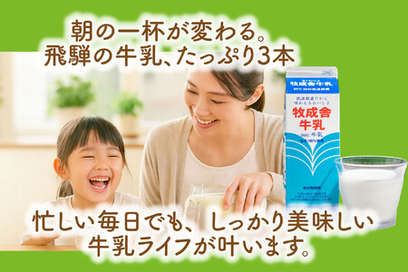 【定期3か月便】牧成舎牛乳1000ml×3本セット｜ミルク 乳製品 飲料 朝食 食生活 牧成舎 DF256