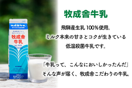 【定期12か月便】牧成舎牛乳1000ml×3本セット｜ミルク 乳製品 飲料 朝食 食生活 牧成舎 DF259