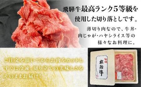 【2月発送】飛騨牛 A5等級 切り落とし  小間切れ A5ランク A5 5等級 肉  黒毛和牛 ブランド牛 300g 飛騨高山 ながせ食品 FH001VC02