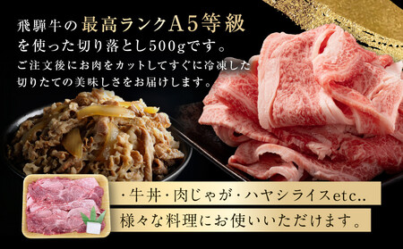 【1月発送】飛騨牛 A5等級 切り落とし 500g | 小間切れ A5ランク A5 5等級 肉 黒毛和牛 ブランド牛 発送時期が選べる 飛騨高山 ながせ食品 FH025VC01