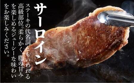 A5等級 飛騨牛 サーロインステーキ 200g×3枚 | 冷凍 化粧箱入 黒毛和牛 肉 飛騨高山 肉の匠家 BV019