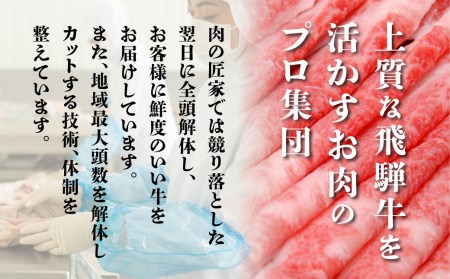 ふるさと納税 飛騨牛 ヒレステーキ 450g（150ｇ×3枚）5等級 A5