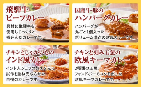 ４種のカレー食べ比べセット  180g×４袋 | レトルト 加工品 常温保存 ストック食材 防災  手軽 お手軽 個包装 レンジ 湯せん 5000円 飛騨高山牧場 HG013