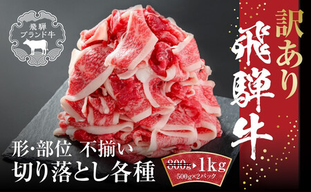 訳あり 飛騨牛 切落とし 1kg(500g×2パック) 冷凍真空パック MZ035VC13