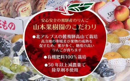 【数量限定/先行予約】飛騨りんご 約5kg (16個～20個）| 9月中旬～順次発送 リンゴ 品種おまかせ 旬のりんごを飛騨からお届け おいしい 大容量 飛騨高山 a529