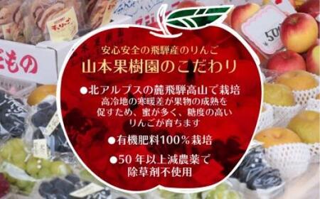 有機肥料100%の飛騨産干しりんご 40g入り×9袋 | りんご ダイエット 無添加 シュガーフリー おいしい 素材の味 ギフト プレゼント ドライフルーツ 山本果樹園 MA007