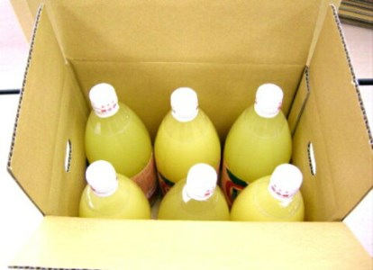 飛騨りんごジュース 1L×6本 箱詰め リンゴジュース ストレートジュース 果汁100% 飛騨高山 飛騨リンゴ  何も足さないピュアな逸品をどうぞ  b549