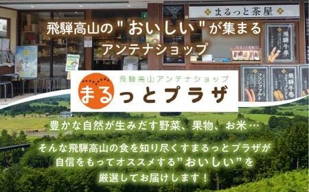 【寄附額見直しました!】飛騨高山の新鮮野菜 おまかせセット | 野菜 おまかせ 詰め合わせ やさい 果物 くだもの ご当地 フルーツ 飛騨高山 まるっとプラザ BA007