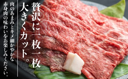 飛騨牛 赤身 すき焼き ( もも  うで ) 1kg 牛肉 日付指定不可 丸明 TR3736【飛騨牛 すき焼き 和牛ブランド すき焼き 飛騨牛 すき焼き 黒毛和牛 すき焼き  飛騨牛 すき焼き 岐阜 飛騨牛 すき焼き】