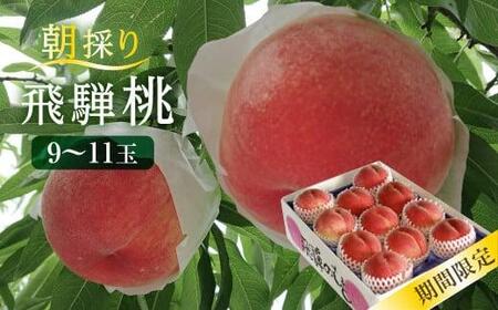 【数量限定/先行予約】飛騨桃 約2.7kg（9～11個）| 7月下旬～順次発送 桃 もも フルーツ 果物 旬 朝採れ 産地直送 白桃 品種お任せ 飛騨高山 山本果樹園 MA013