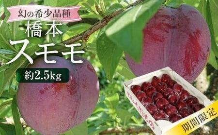山本果樹園 橋本スモモ b563