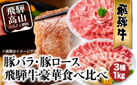 飛騨牛 ＆ 飛騨豚 焼肉 セット 合計 1kg 肉 国産 牛 豚 29-950 ファミリーストアさとう b579