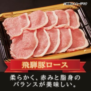 飛騨牛 ＆ 飛騨豚 焼肉 セット 合計 1kg 肉 国産 牛 豚 29-950 ファミリーストアさとう b579
