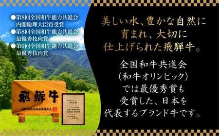 5等級 飛騨牛 冷蔵 サーロイン ステーキ 200ｇ2枚 真空パック