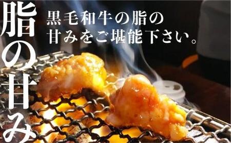 岐阜県産 黒毛和牛 ホルモン 食べ比べセット 600g（100g×6）| シロホルモン ハツ センマイ テッチャン 赤センマイ 希少部位  飛騨高山 ながせ食品 FH011