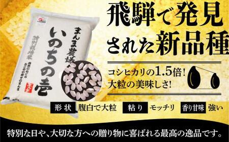 【定期便 3ヶ月】（全3回）令和6年度産 新米 飛騨いのちの壱 白米 5kg 特別栽培米 | 米 金賞受賞農家 お米 大粒 飛騨高山 まんま農場 LT104