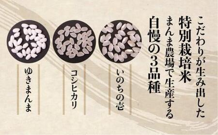 【定期便 3ヶ月】（全3回）令和6年度産 新米 飛騨いのちの壱 白米 5kg 特別栽培米 | 米 金賞受賞農家 お米 大粒 飛騨高山 まんま農場 LT104