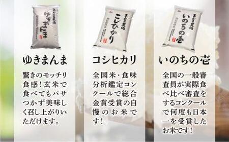 【定期便 3ヶ月】（全3回）令和6年度産 新米 飛騨いのちの壱 白米 5kg 特別栽培米 | 米 金賞受賞農家 お米 大粒 飛騨高山 まんま農場 LT104