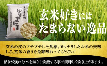 定期便 3ヶ月 飛騨ゆきまんま 玄米 5kg 特別栽培米  特別優秀賞 まんま農場  c538