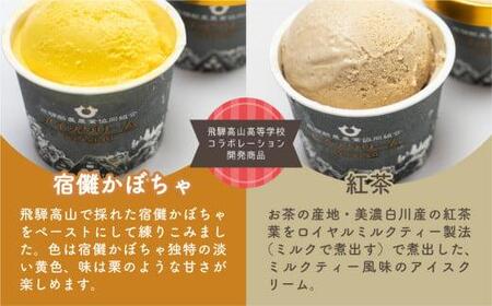 バラエティアイスクリームギフト 6種12個 食べ比べ 飛騨牛乳 かぼちゃ 紅茶 バニラ チョコ ストロベリー 抹茶 飛騨高山 スイーツ B633 岐阜県高山市 ふるさと納税サイト ふるなび