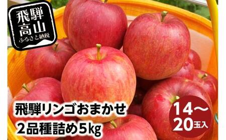 飛騨リンゴ 5kg 14-20玉入り おまかせ２品種 食べ比べ 果物 りんご フルーツ 飛騨高山 9月 10月 11月 季節もの ぜんぞう果樹園 a633