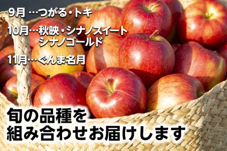 飛騨リンゴ 5kg 14-20玉入り おまかせ２品種 食べ比べ 果物 りんご フルーツ 飛騨高山 9月 10月 11月 季節もの ぜんぞう果樹園 a633